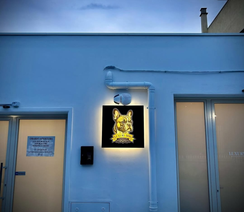 Images Luxury Dog Toelettatura