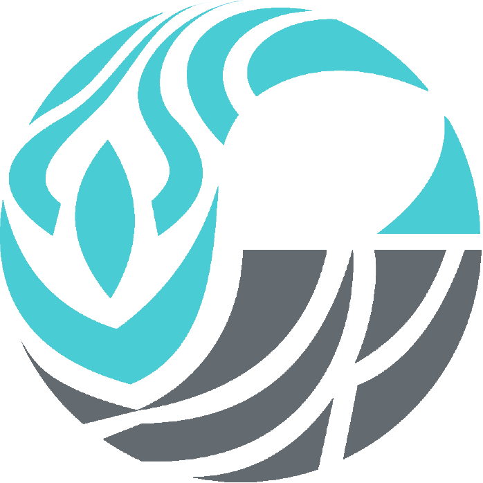 blue pokē Logo