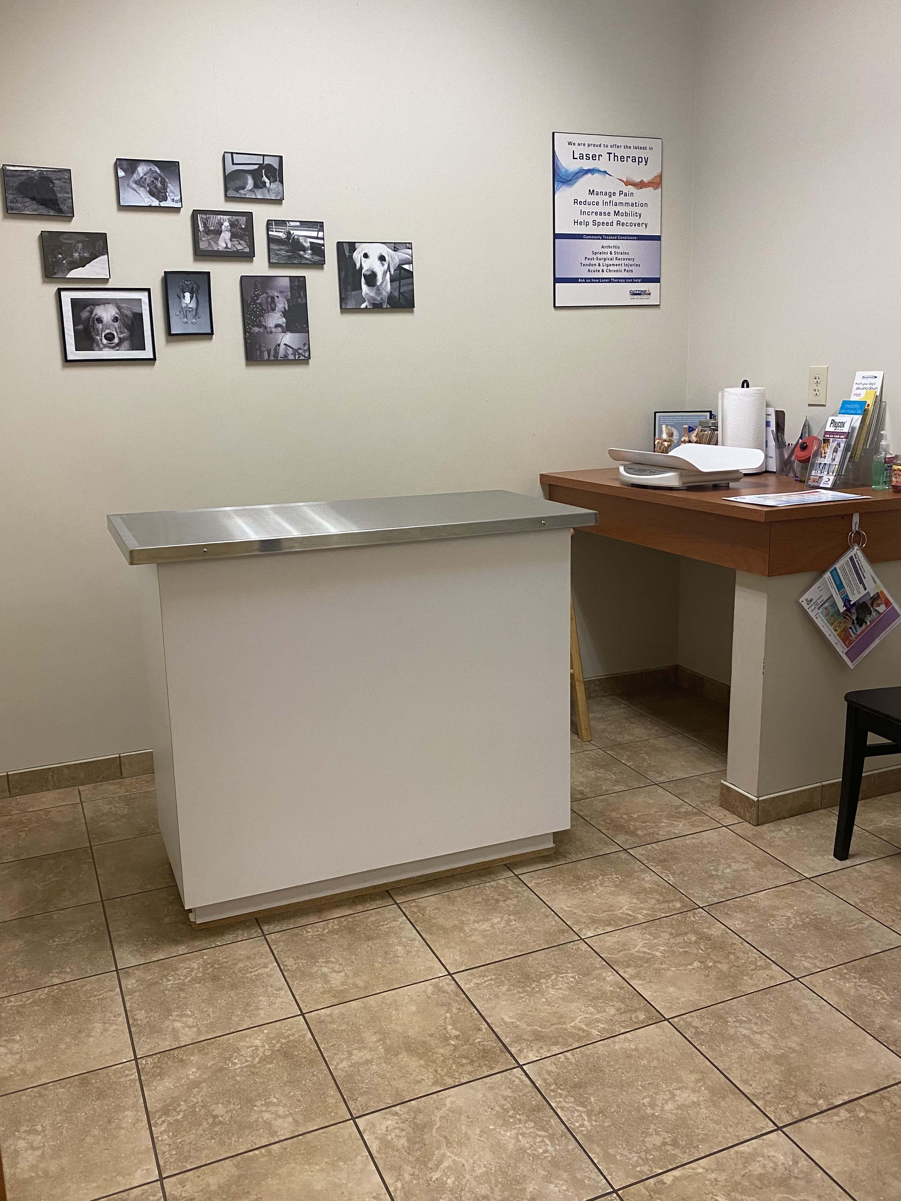 Mission Road Animal Clinic has multiple private exam rooms where your pet will be examined by one of our experienced veterinarians