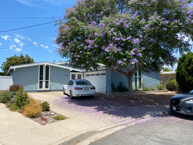 Images Jay Sener, REALTOR®