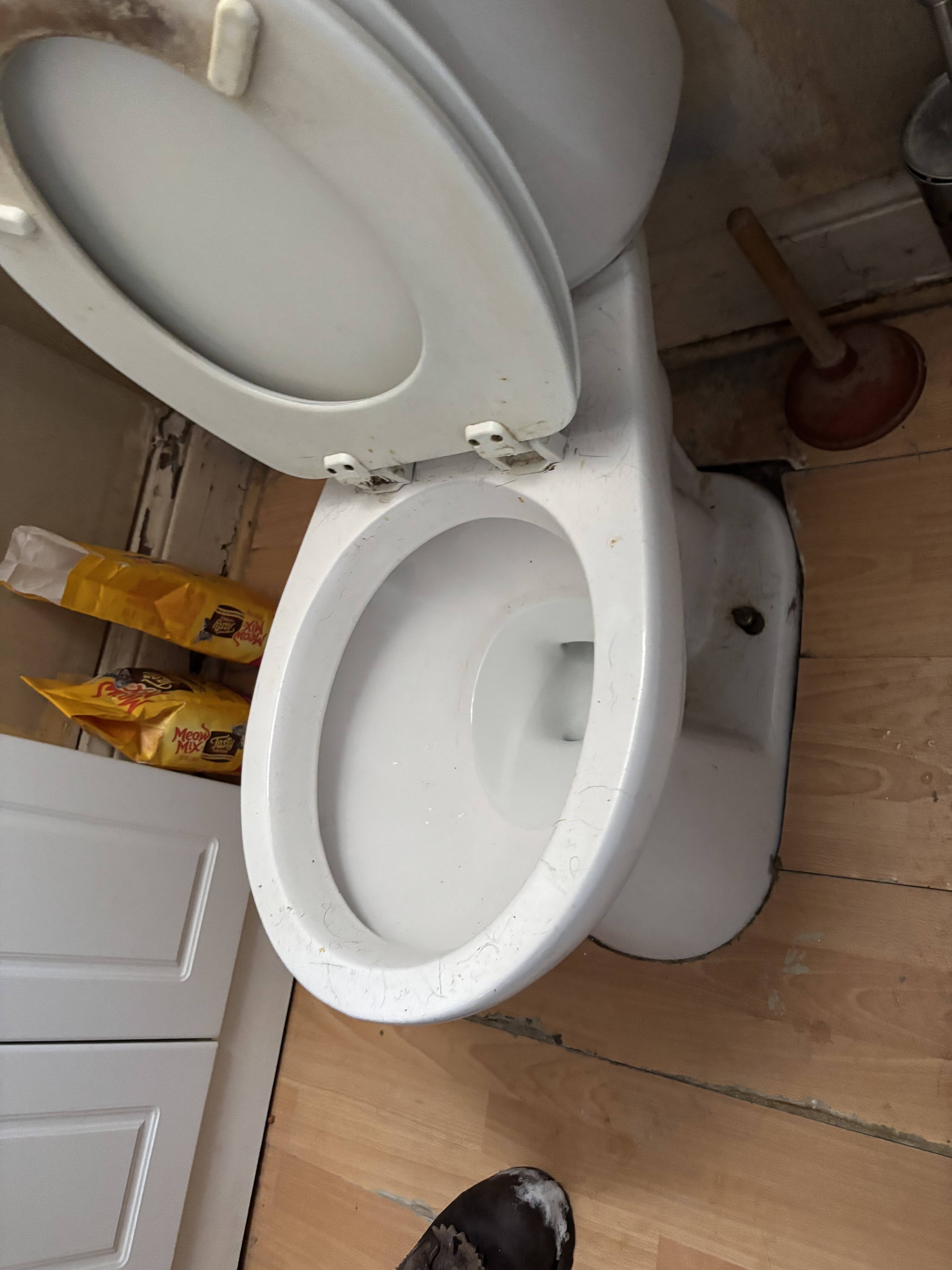 Images DrainCam Plumbing