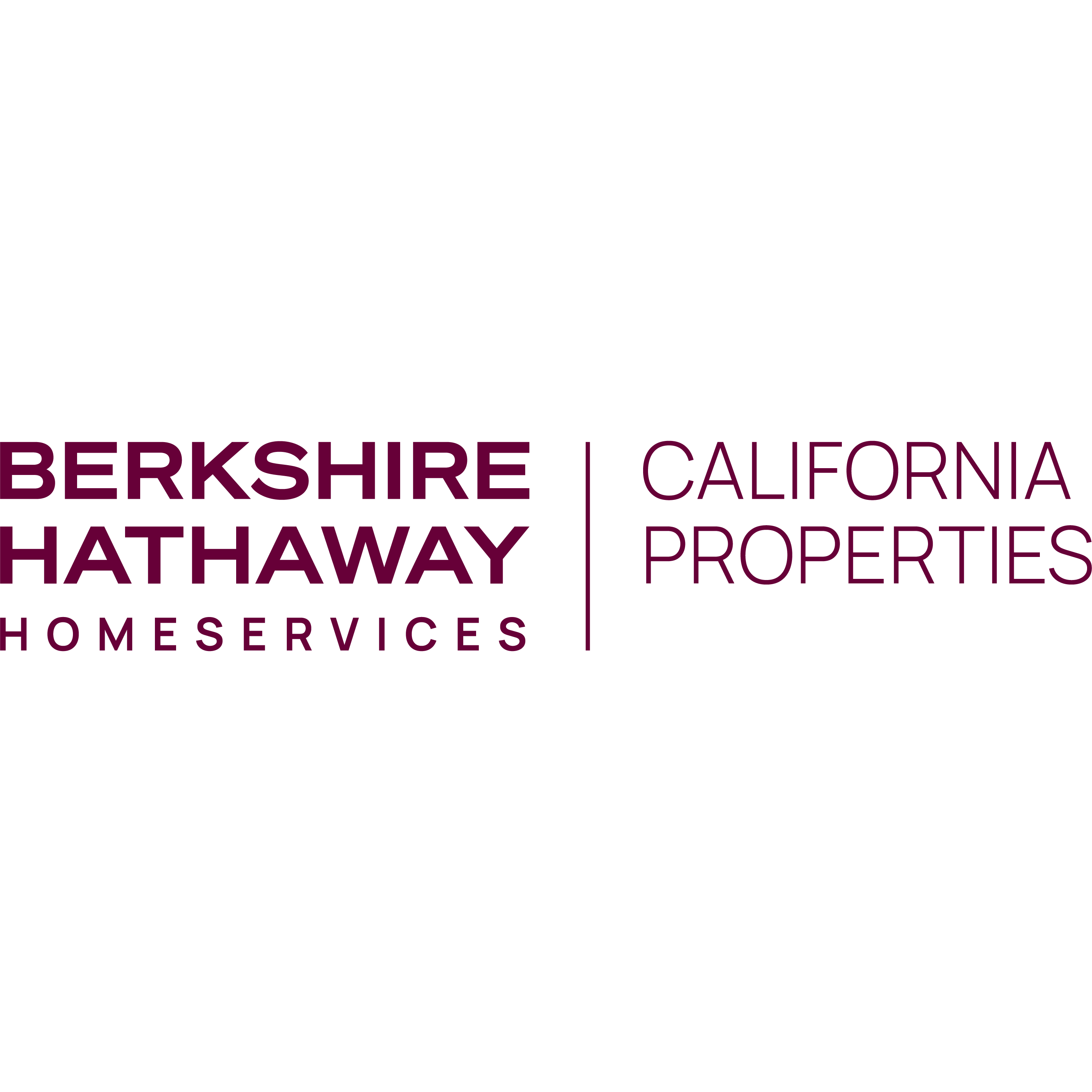Cathy Salerno, Realtor