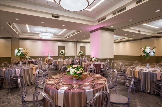 Images C. Baldwin, Curio Collection by Hilton