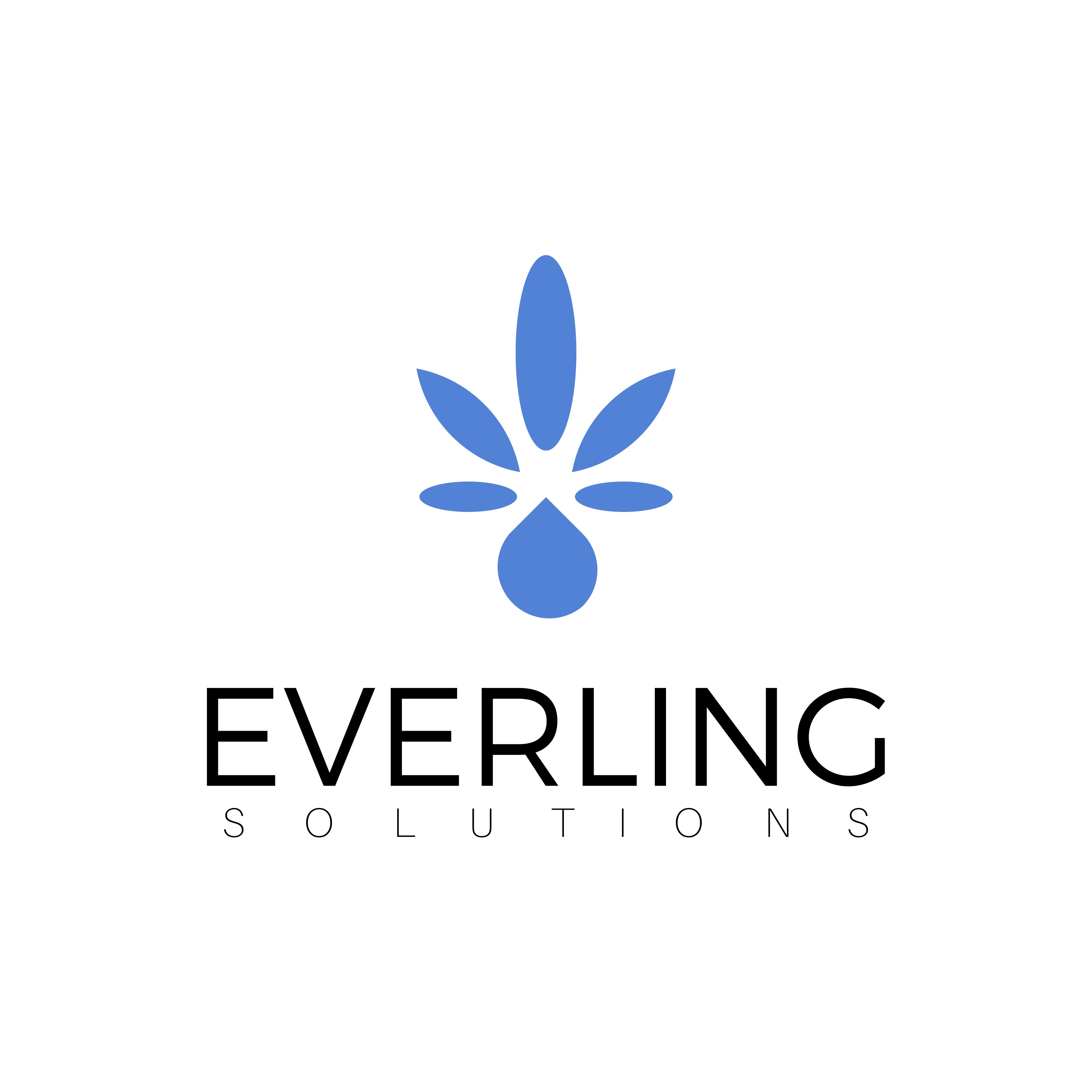 Everling Solutions Inh. Kevin Tudisco-Evers in Paderborn - Logo