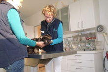 Kleintierpraxis am Mühlenberg, Mühlenberg 16 in Börger