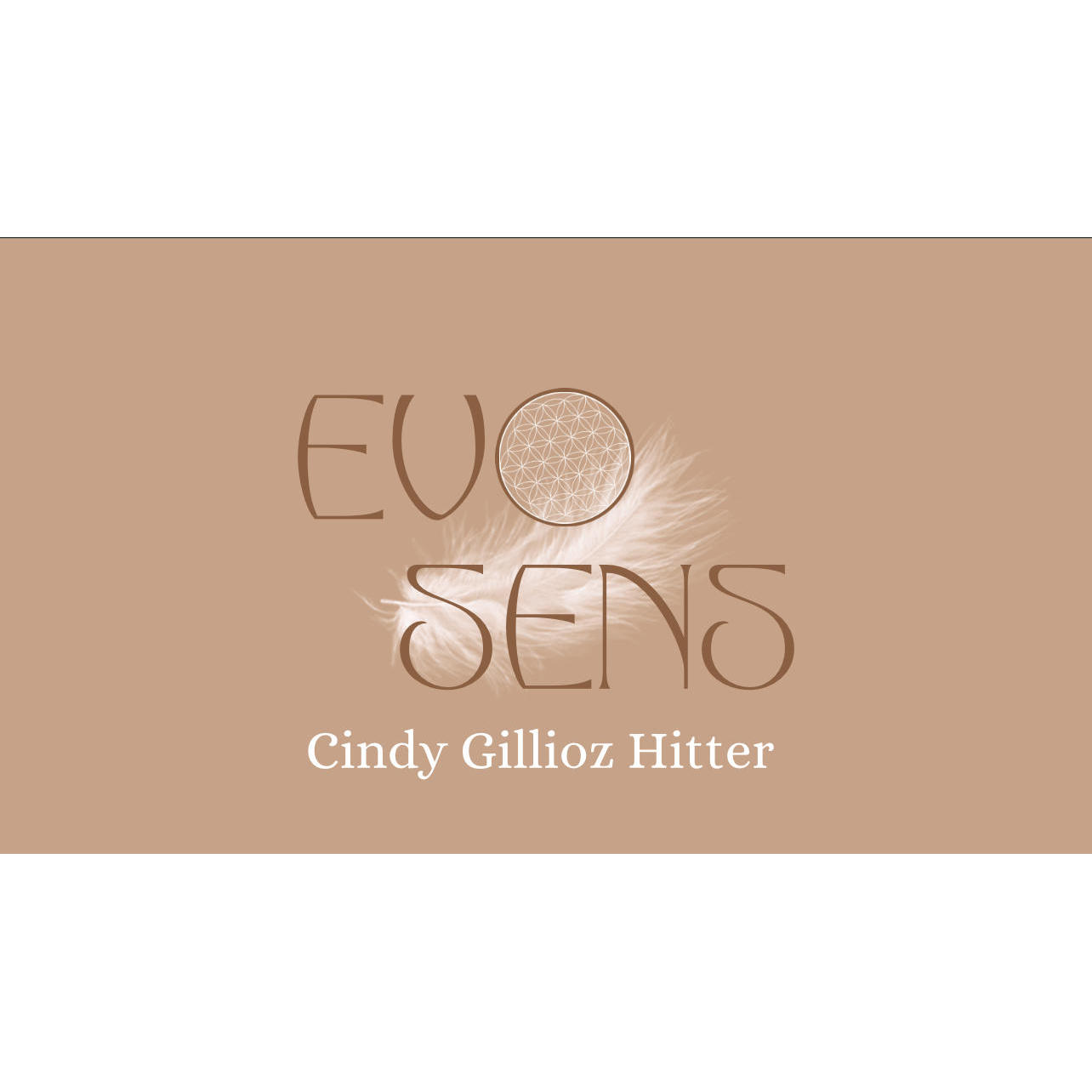 EvoSens Cindy Gillioz Hitter Logo