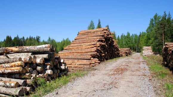Images Metsäkuljetus Hyväriset Oy