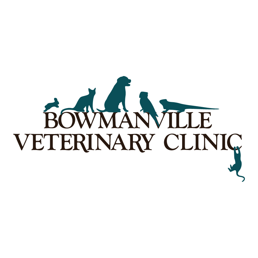 Bowmanville Veterinary Clinic Logo