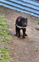 Images Voyage Crafter, A Cruise Planners Franchise