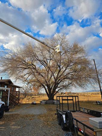 Images H & S Tree Care