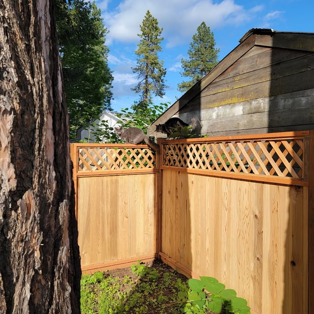 Images The Idaho Handyman