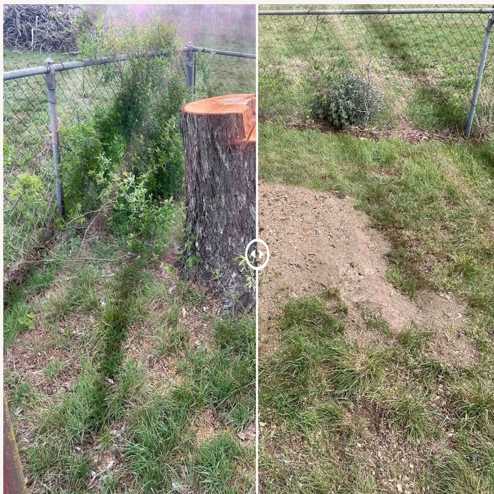 Images Cody's Tree Services