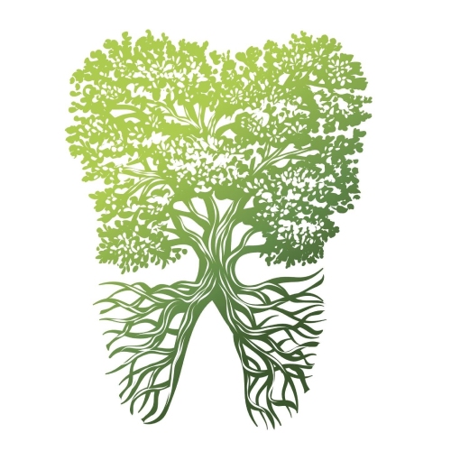 Root Dental