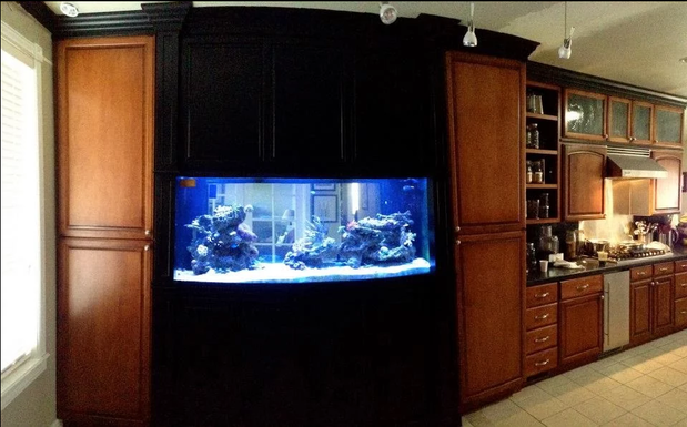 Images OCD Reefs