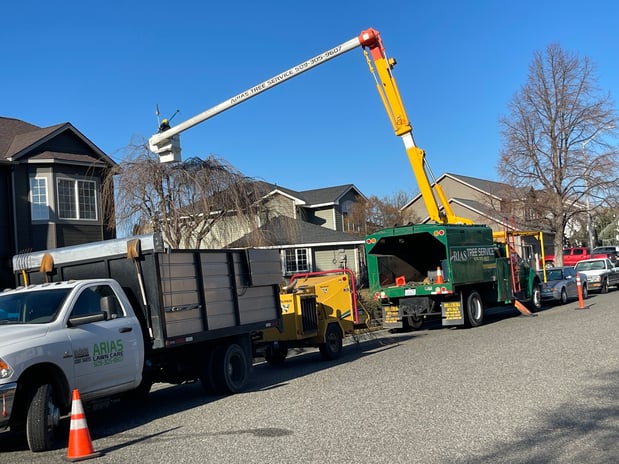 Images Arias Tree Service