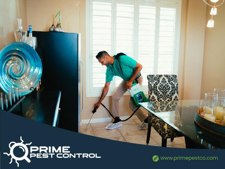 Images Prime Pest Control Las Vegas