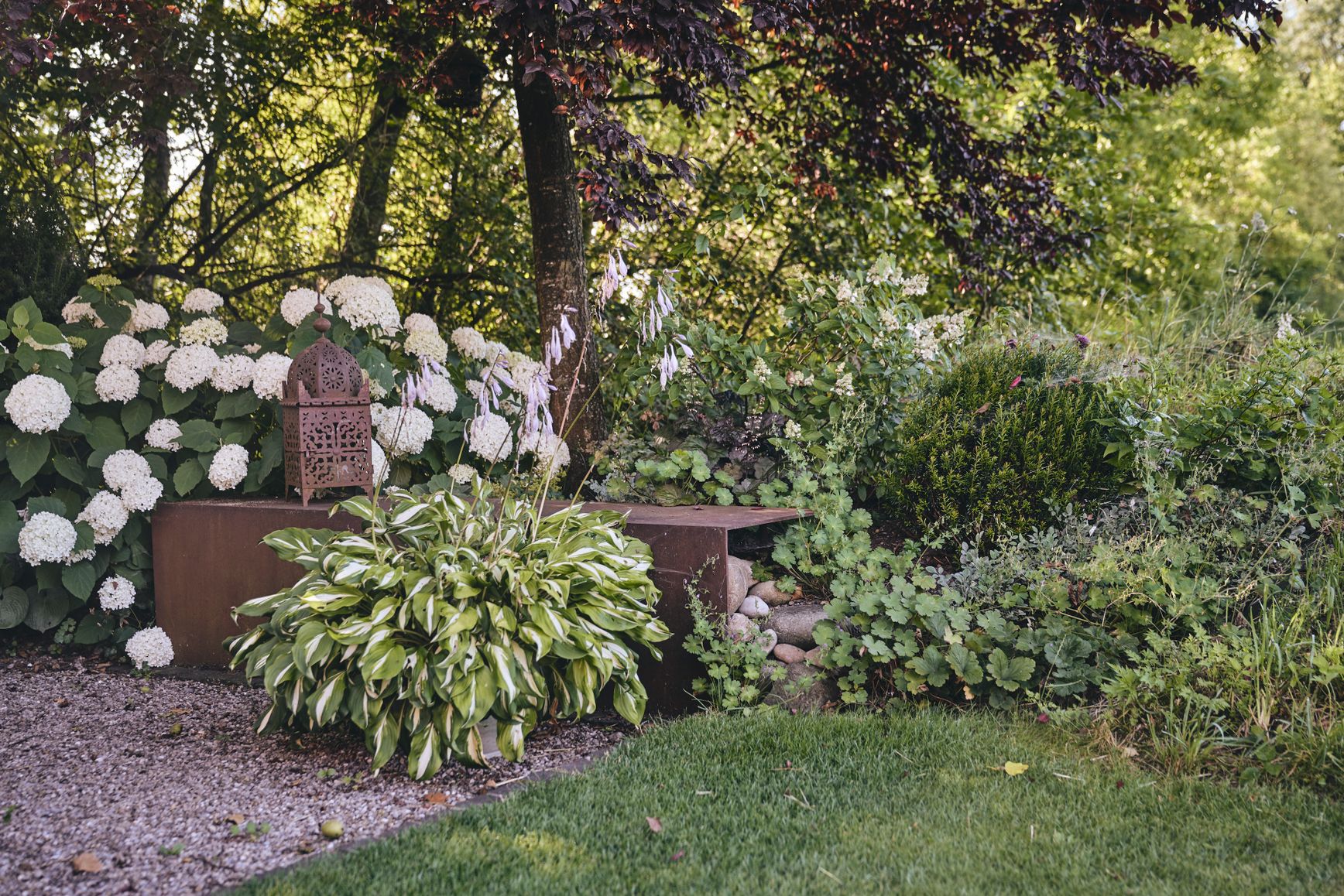 Bilder garten•kultur