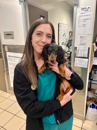 Images VCA Park Cities Animal Hospital