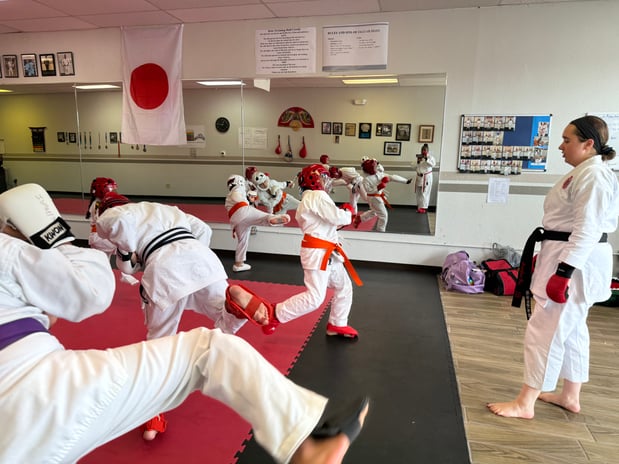 Images Jaguar Dojo