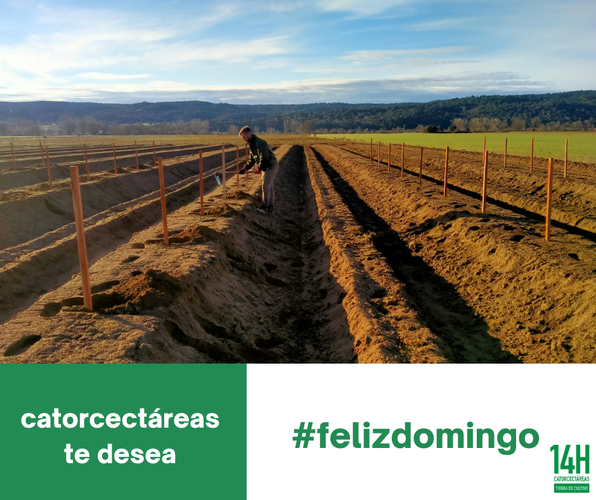 Images Catorcectáreas