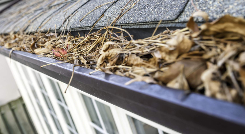 Gutter Maids Photo