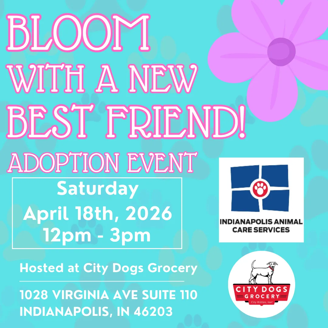 Image of Local Pet Event Bloom With A New Best Friend Nearby