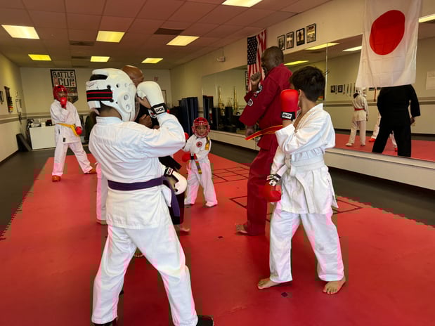 Images Jaguar Dojo