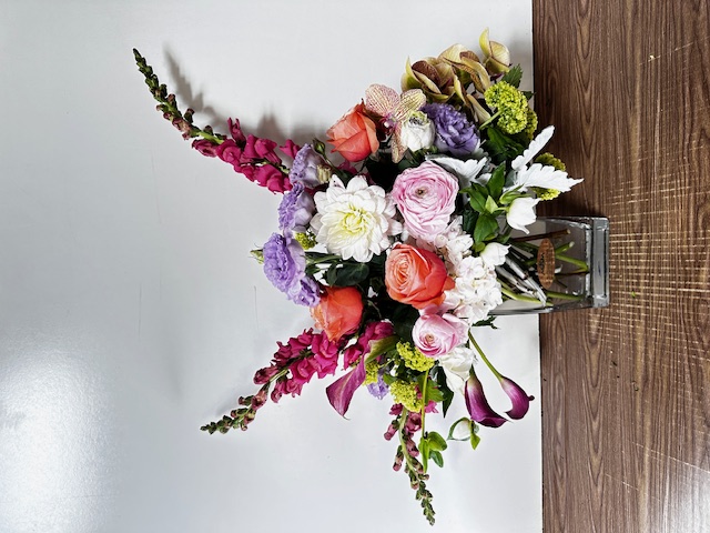 Images Jane's Roses & Flowers