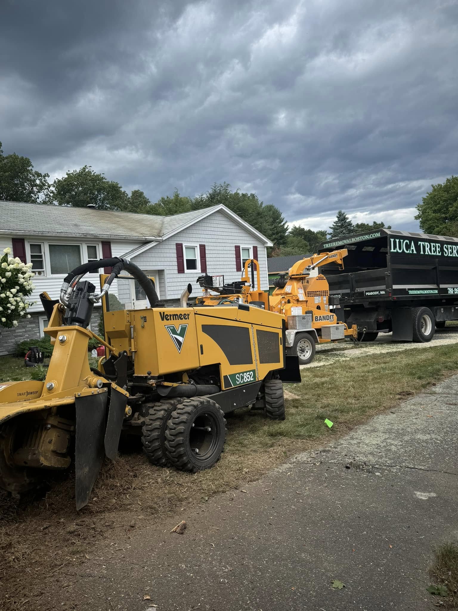 Luca Tree Service Image