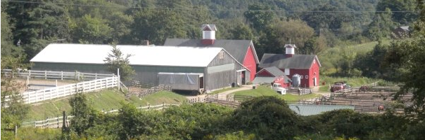 Another Farm