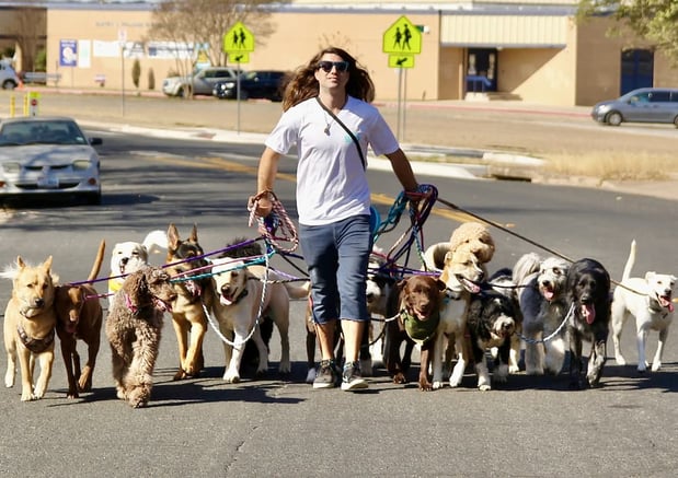 Images Walk! ATX Pet Care