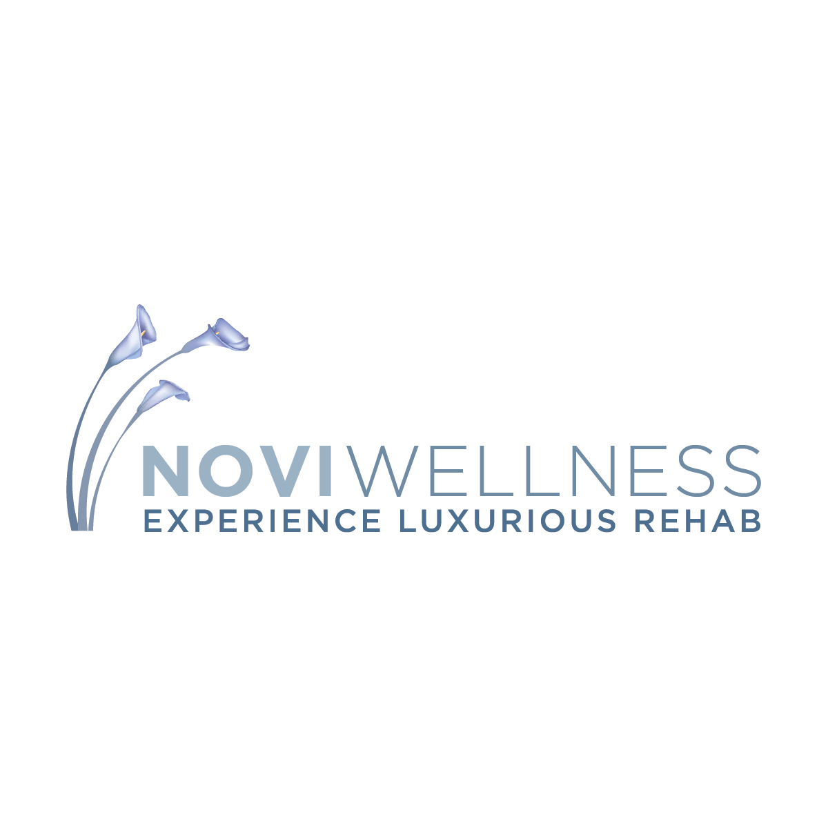 Medilodge of Novi (Novi Wellness)