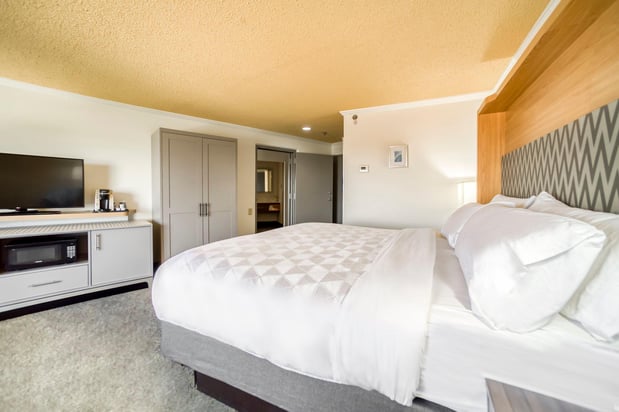 Images Holiday Inn Mobile-Dwtn/Hist. District by IHG