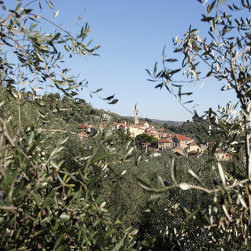 Images Azienda Agricola Sole e Sassi