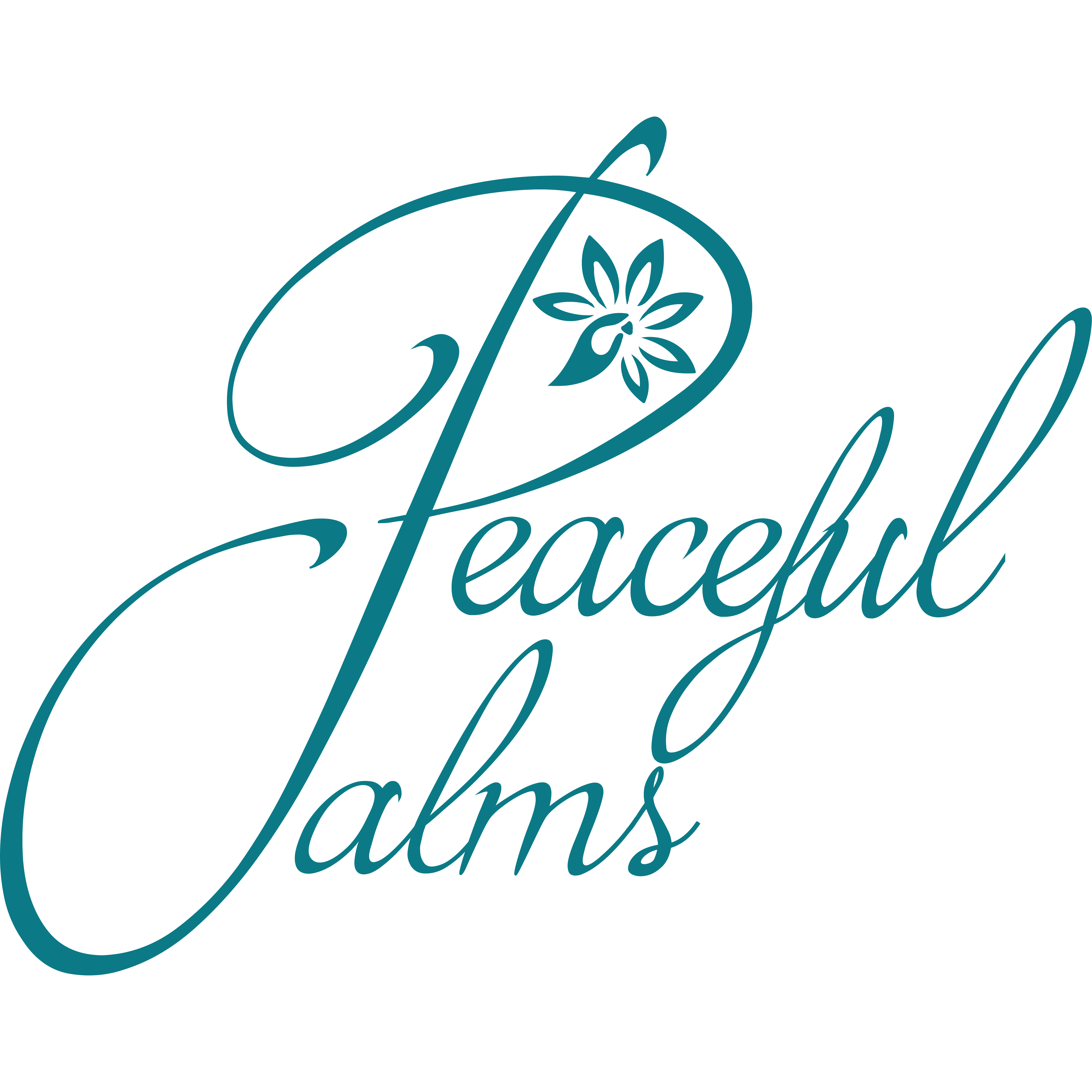 Peaceful Palms Therapeutic Massage Llc