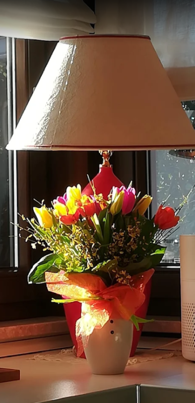 Fiori Lysa Fiori Composizioni Servizio Euroflora