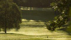 Images Umeå Golfklubb