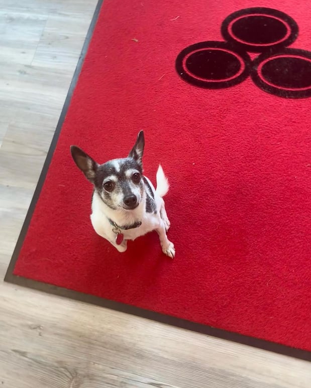 Images Kaitlyn Raymond - State Farm Insurance Agent