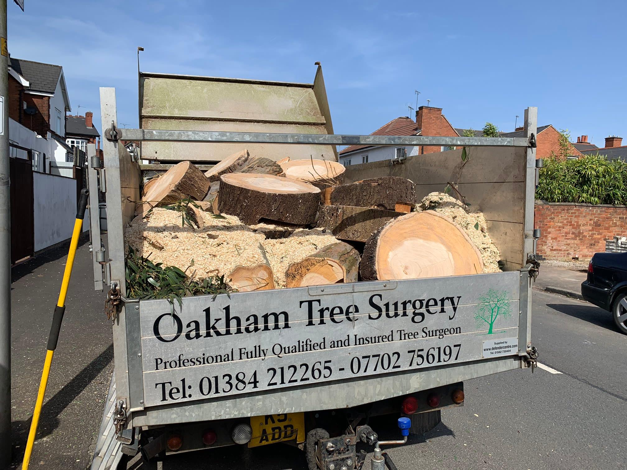 Images Oakham Tree Surgery
