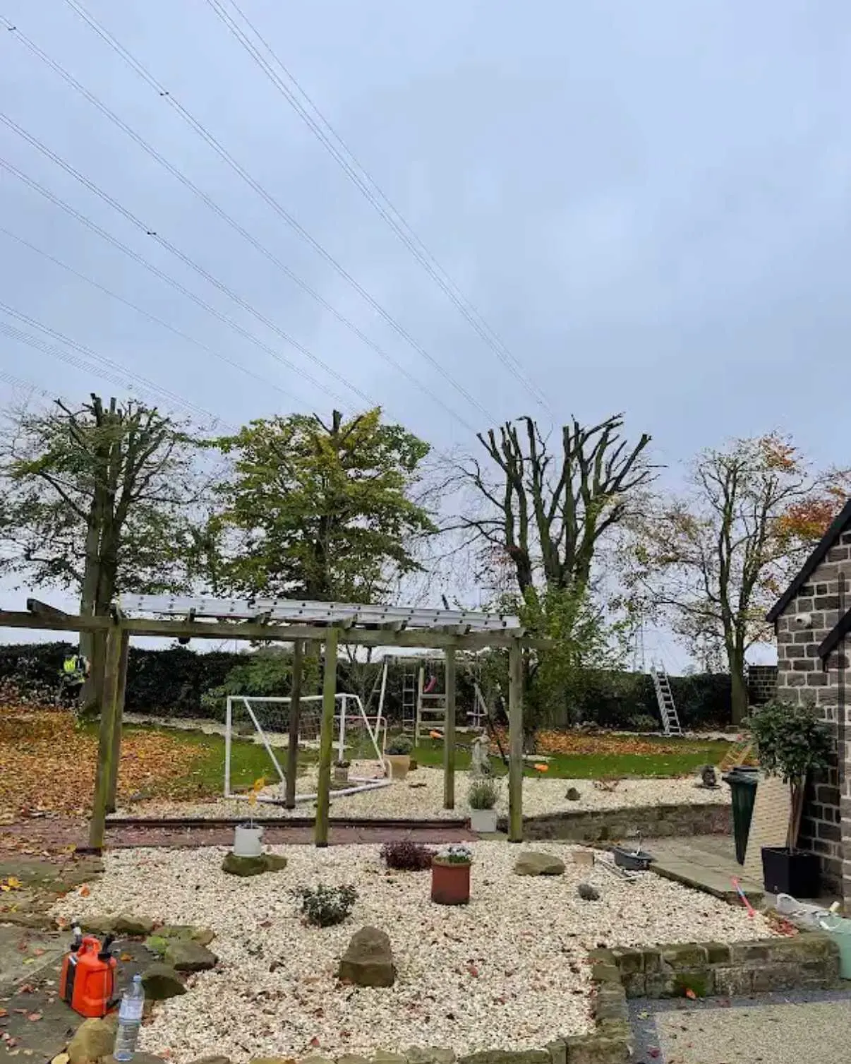 Images Tree Doctors & Landscaping