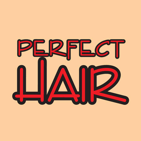 Logo Academie PERFECT HAIR Wella