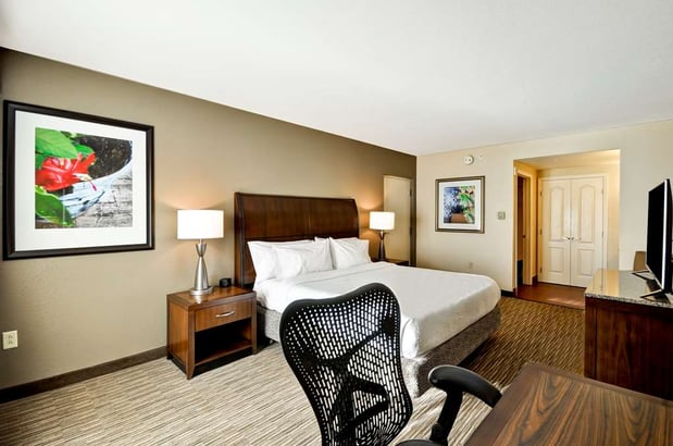 Images Hilton Garden Inn Tampa North