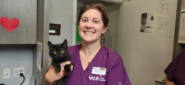 Images VCA Peone Pines Animal Hospital