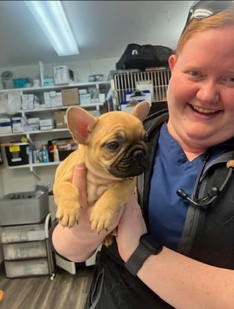 Images VCA Wingate Animal Hospital