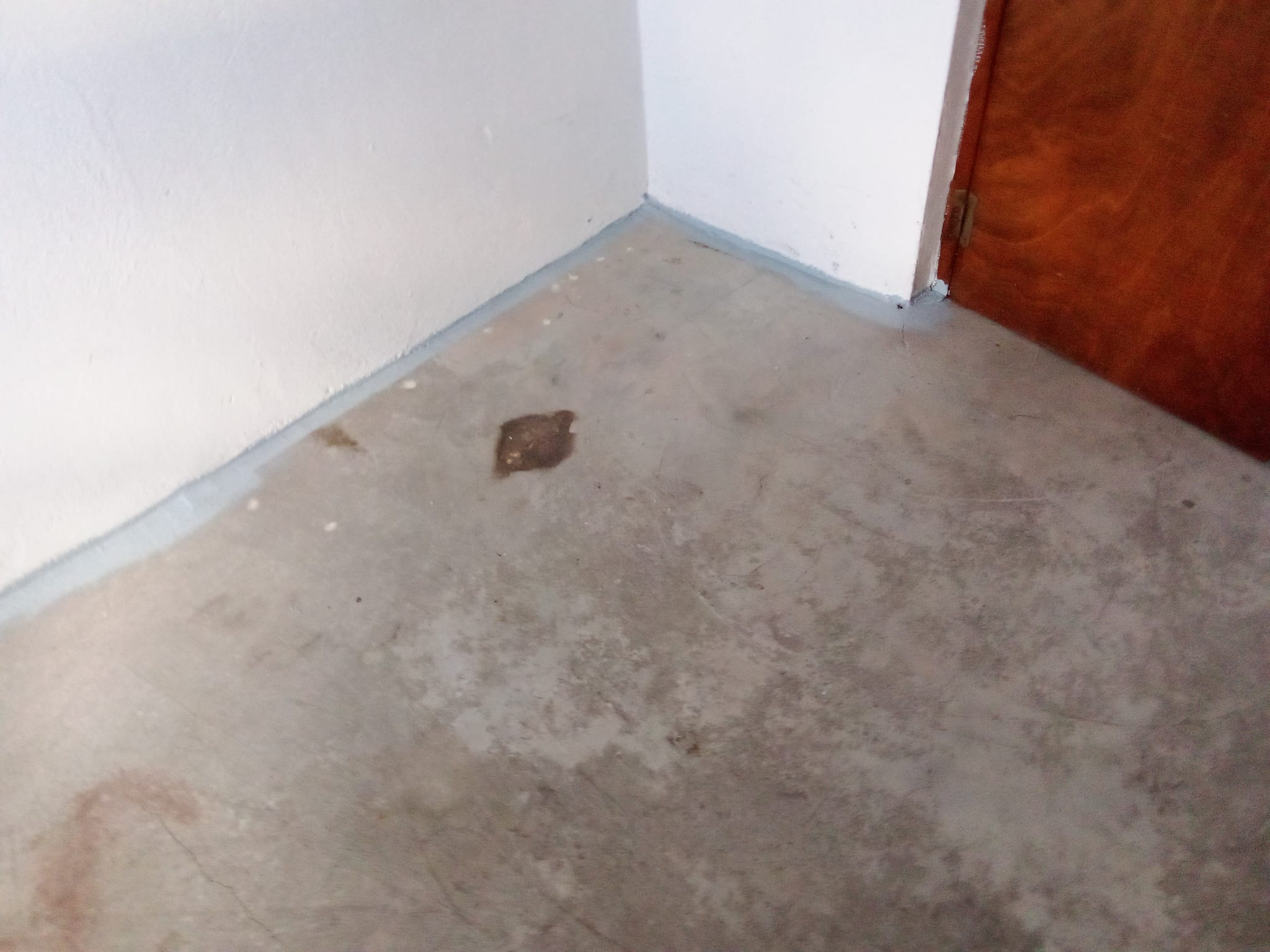 Images Reformas Carlos William