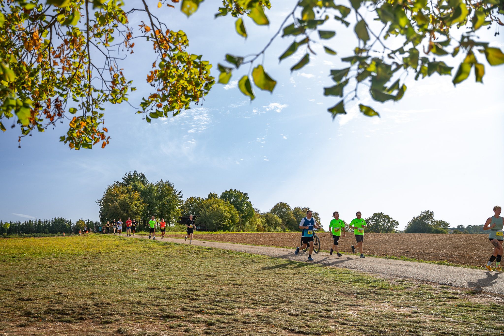 LSG Schwarzwald-Marathon e.V., Sommergasse 6 in Bräunlingen