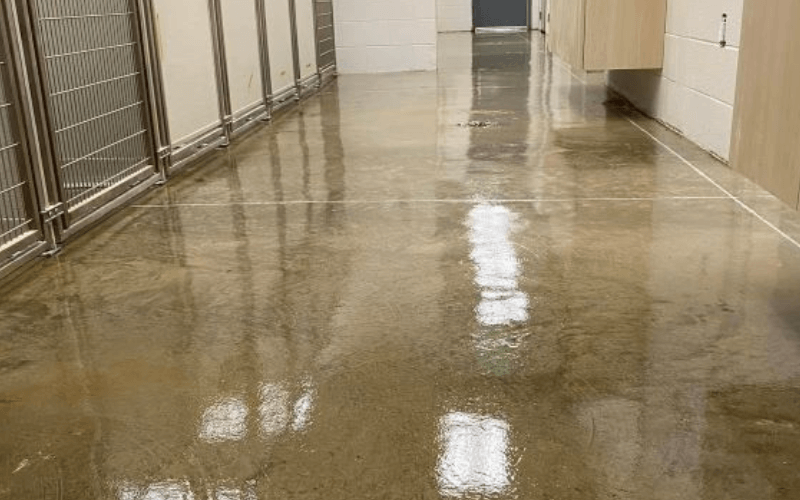 Image 7 | Pros Flooring Huntsville
