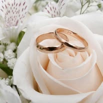 Images City Florist & Gift Shop