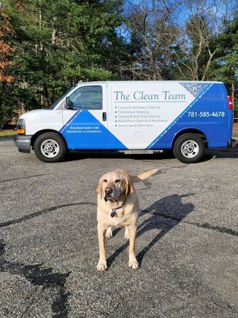 Images The Clean Team