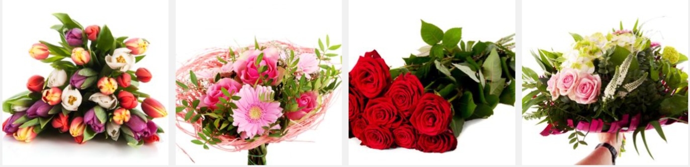 Images Skåneblommor AB